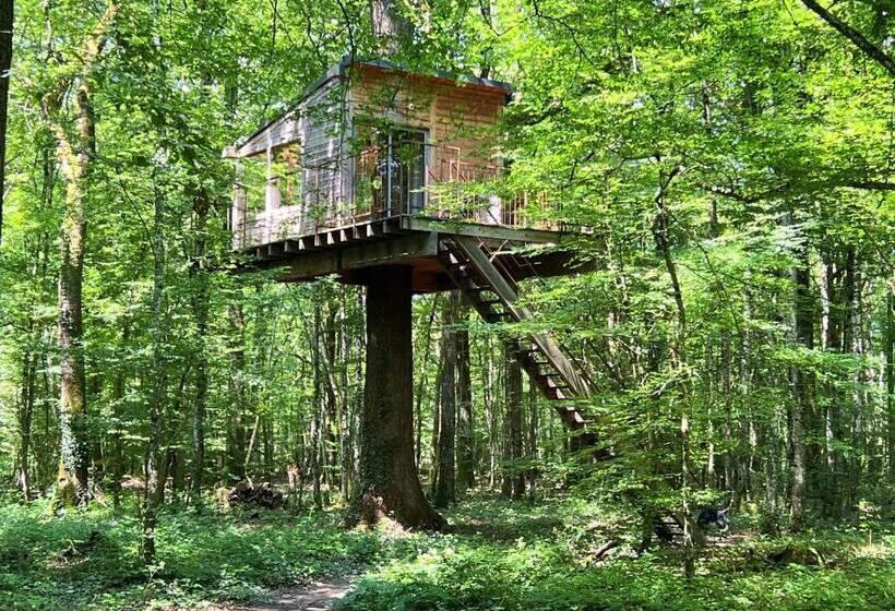 膳宿费 Les Galants