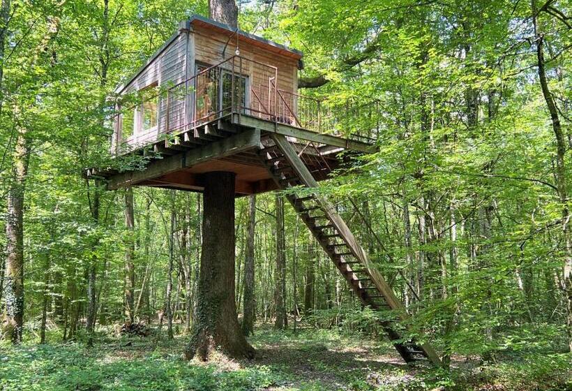 膳宿费 Les Galants