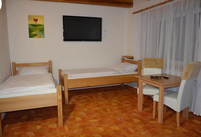 ペンション Statek 3   Wellness & Spa