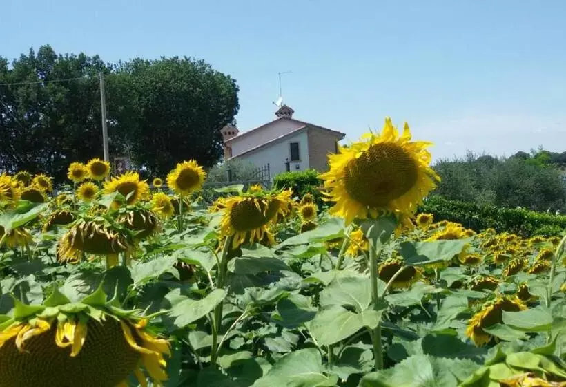 B&b Principerto