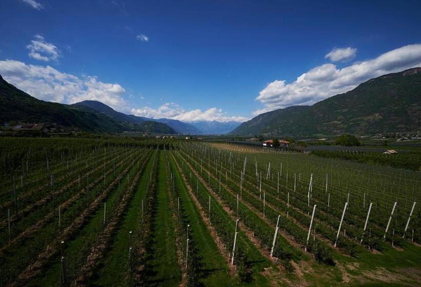 Отель Gantkofel