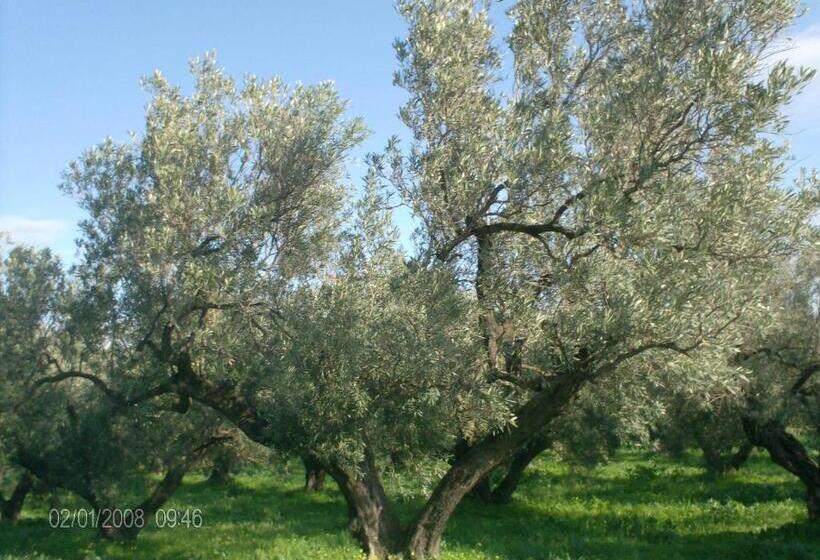 هتل Villa La Cucullera