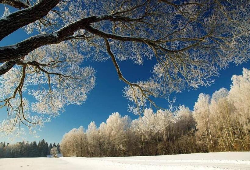 پانسیون Stay At Lithuanian Folk Museum