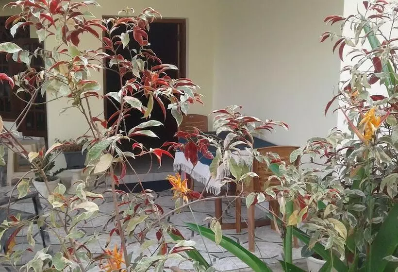 تختخواب و صبحانه Villa Rodrigo