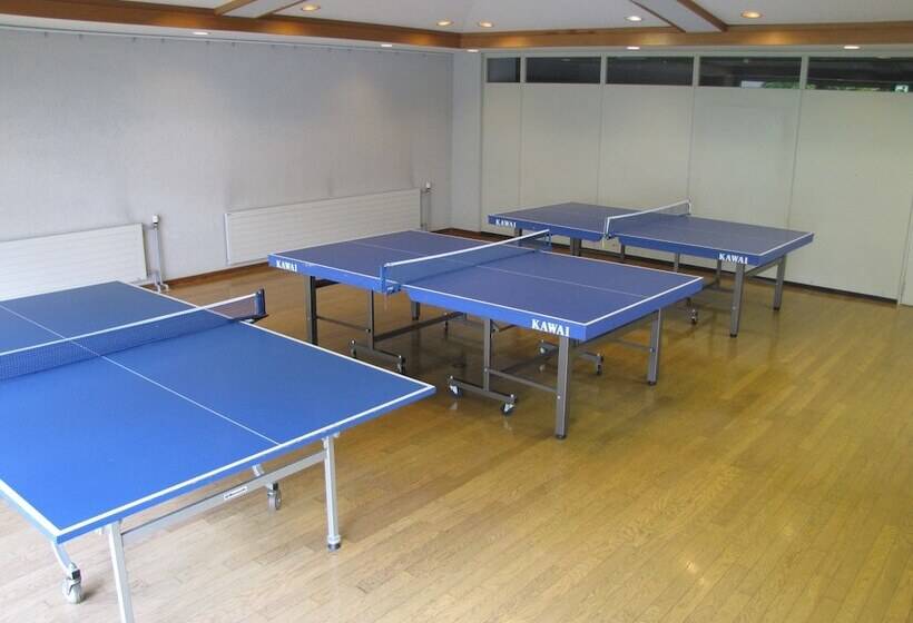 Hotelli Kusatsu Green Park Palace