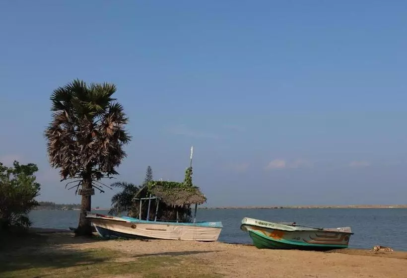 ユースホステル Sun Wind Beach Kalpitiya Kite Resort