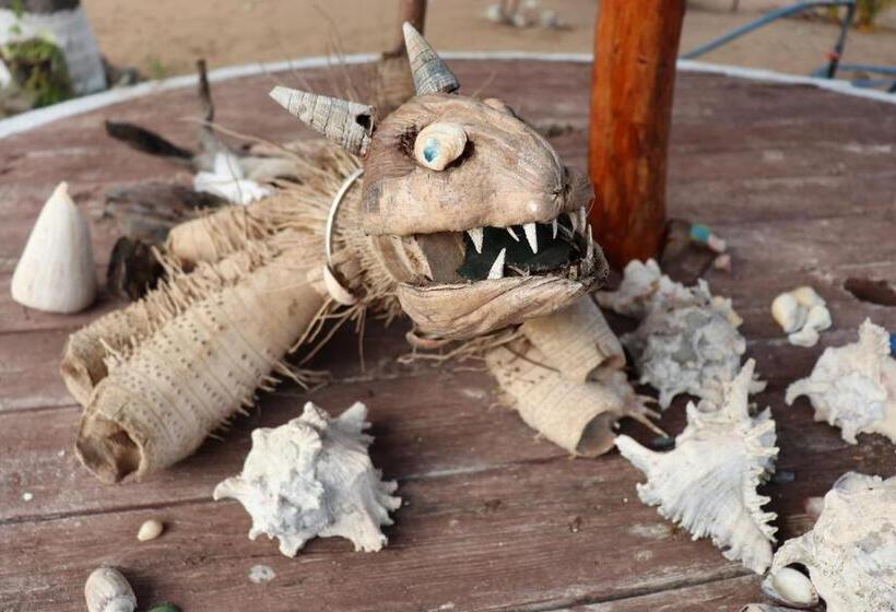 هاستل Sun Wind Beach Kalpitiya Kite Resort