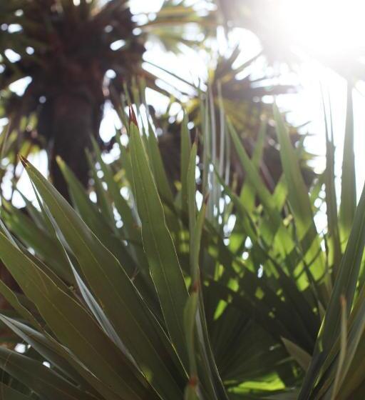 هاستل Sun Wind Beach Kalpitiya Kite Resort