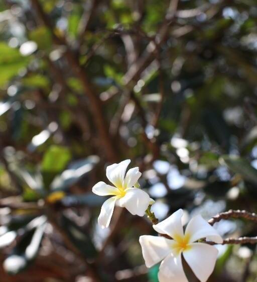 هاستل Sun Wind Beach Kalpitiya Kite Resort