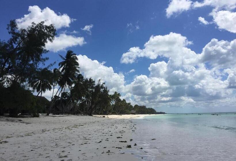 Bed and Breakfast Lazy Beach House