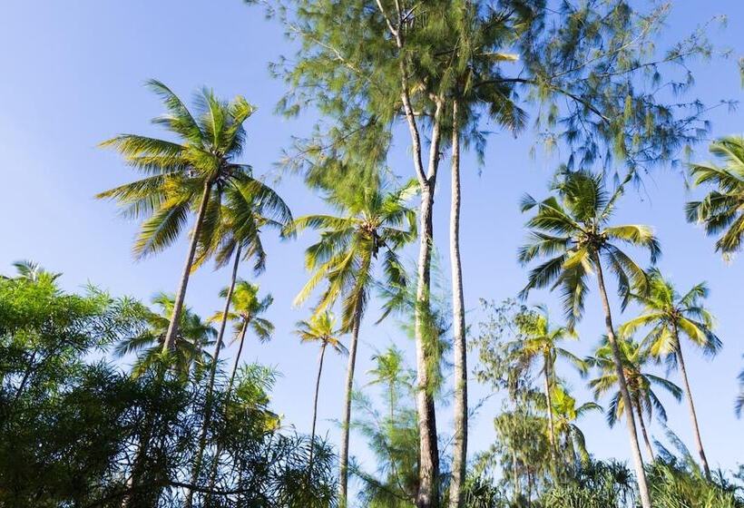 Bed and Breakfast Lazy Beach House