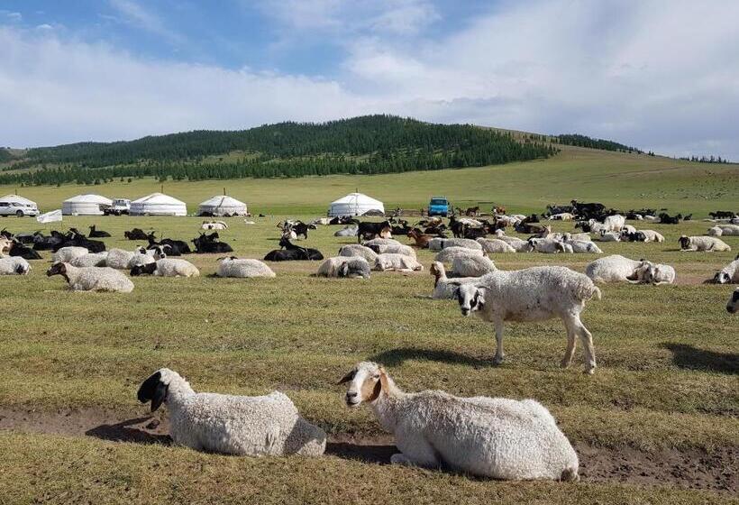 Albergue Lotus Guesthouse