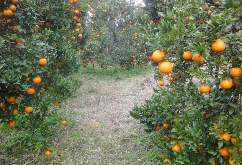 Bed and Breakfast Pension Blue Drop