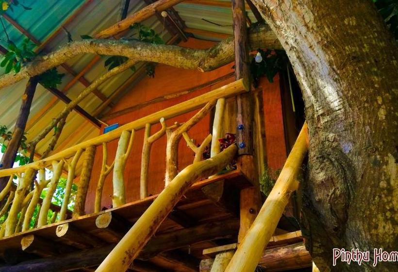 Bed and Breakfast Pinthu Home Stay