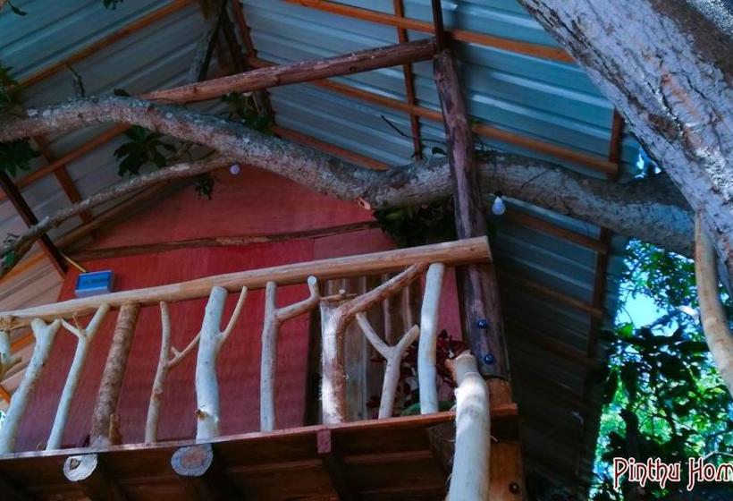 Bed and Breakfast Pinthu Home Stay