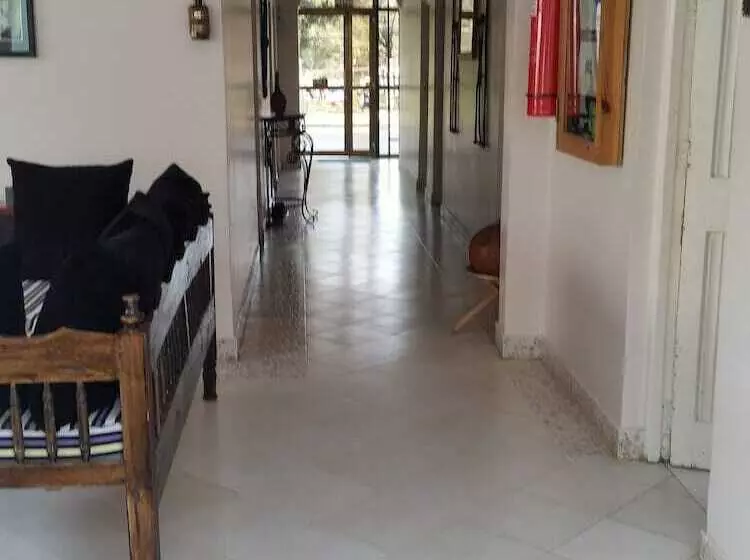 تختخواب و صبحانه Raha Leo Inn