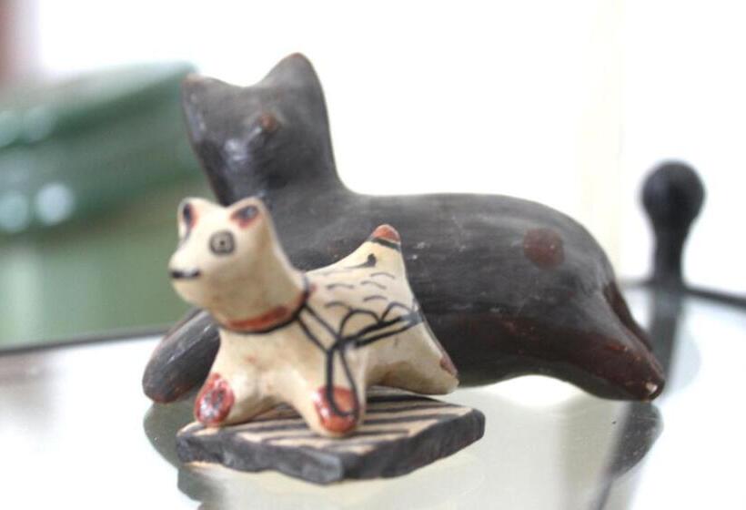 Bed and Breakfast Dar R'bat