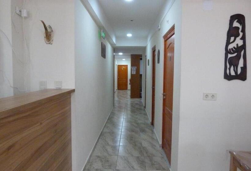 Center Hostel And Guest House