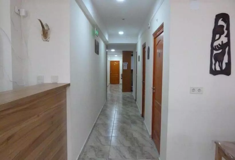 Center Hostel And Guest House
