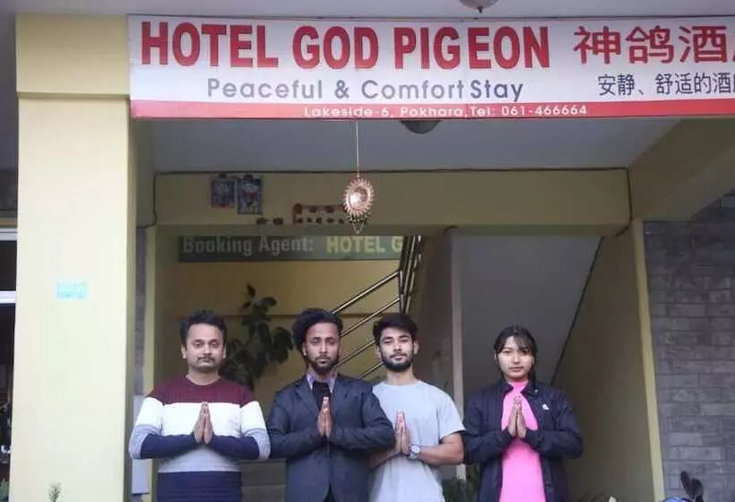 هتل God Pigeon