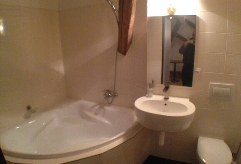 בית מלון כפרי U Cerneho Orla