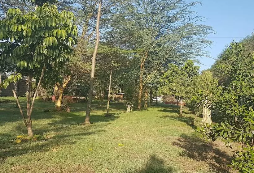Kivu Resort