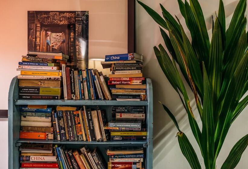 Sonderia Hostel & Bar   Lazybones Hostel