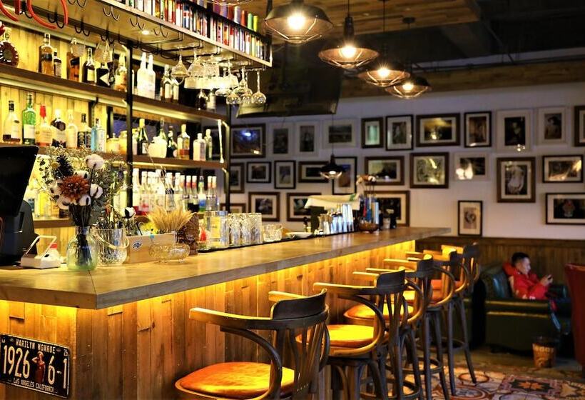 Sonderia Hostel & Bar   Lazybones Hostel