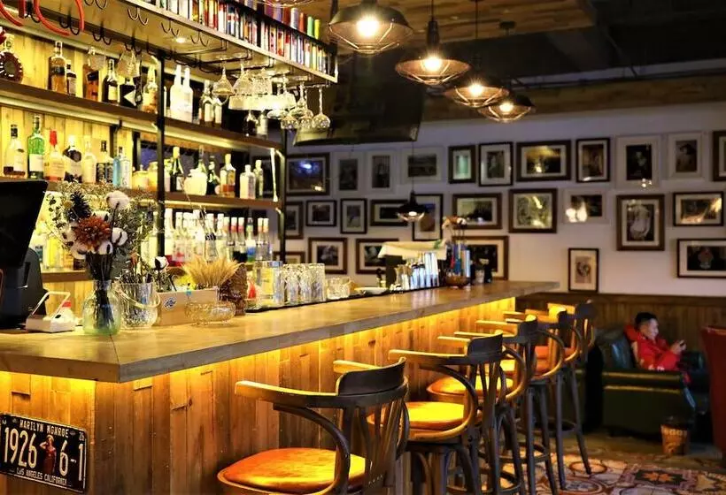 Sonderia Hostel & Bar   Lazybones Hostel