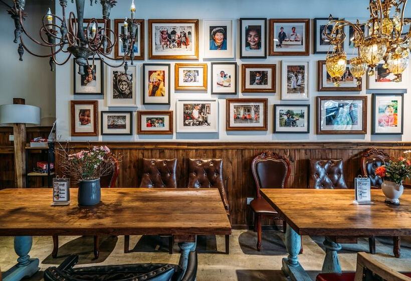 Sonderia Hostel & Bar   Lazybones Hostel