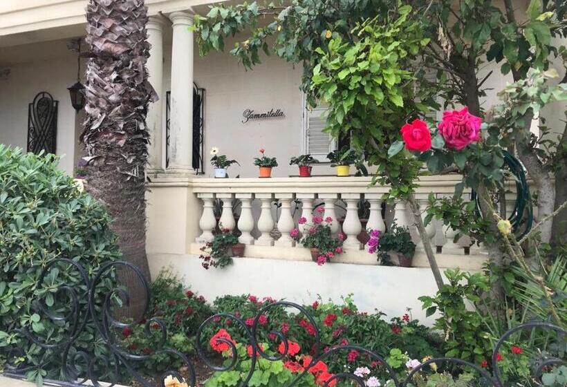 تختخواب و صبحانه Villa Zammitella