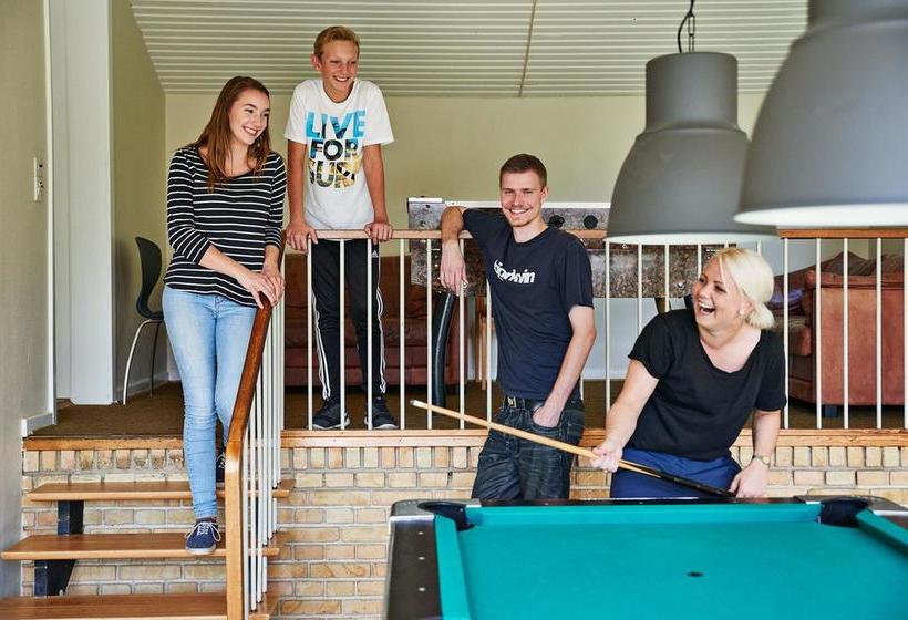 Danhostel Viborg