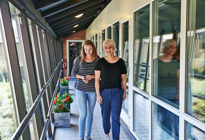 Danhostel Viborg