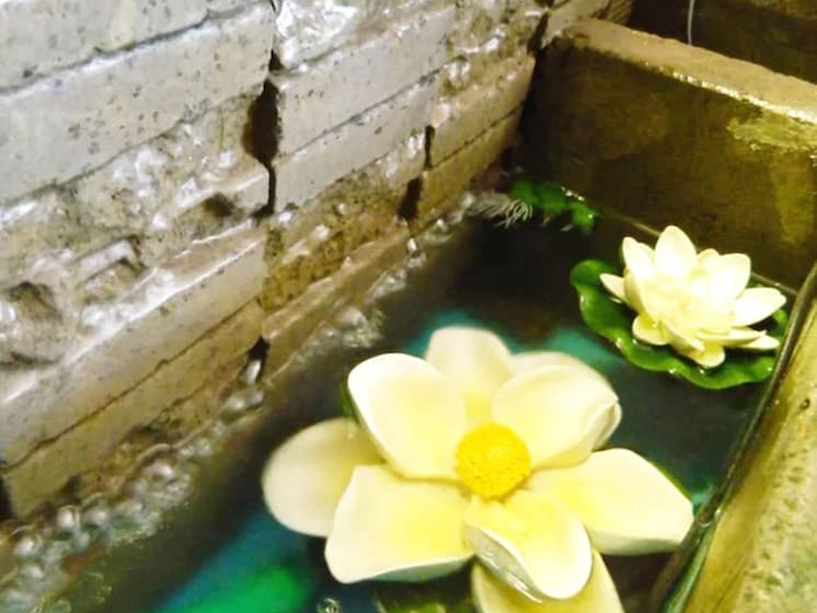 Hostal Jardin Del Sol