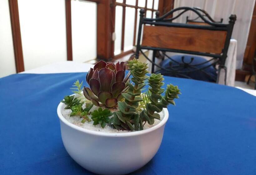 هتل Boutique 3 Poniente