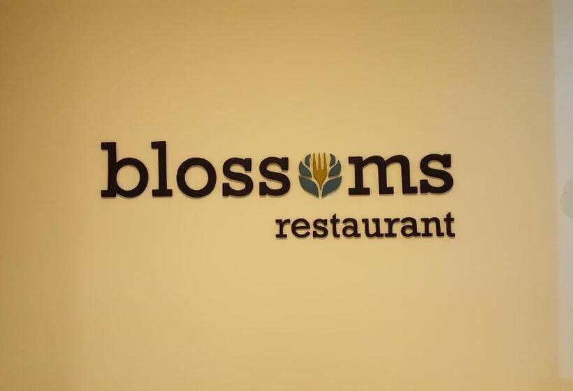 Hotel Casita Inn,yercaud