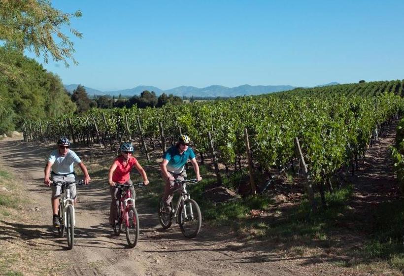 هتل Clos Apalta Residence Relais & Chateaux