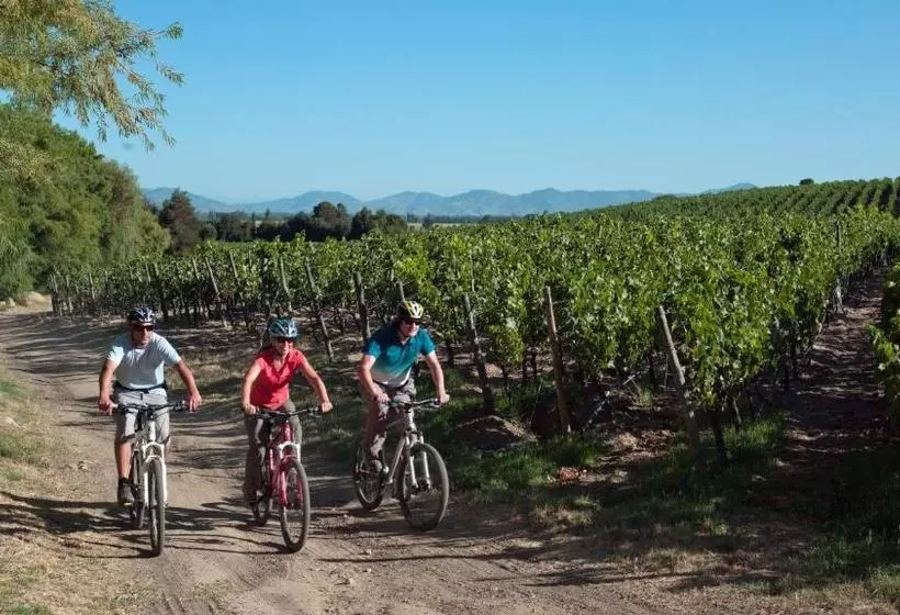 Hotelli Clos Apalta Residence Relais & Chateaux