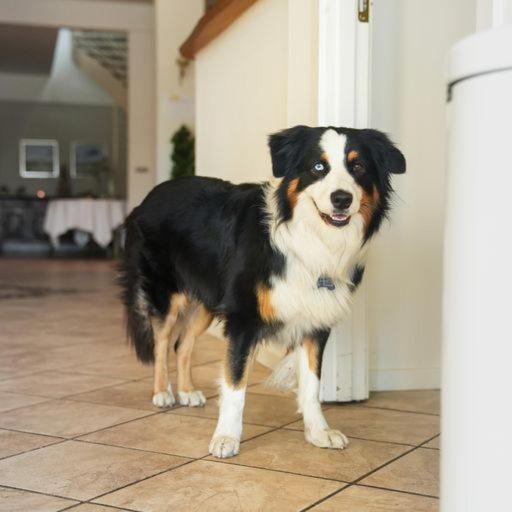 Hotel Havlund Bed And Breakfast