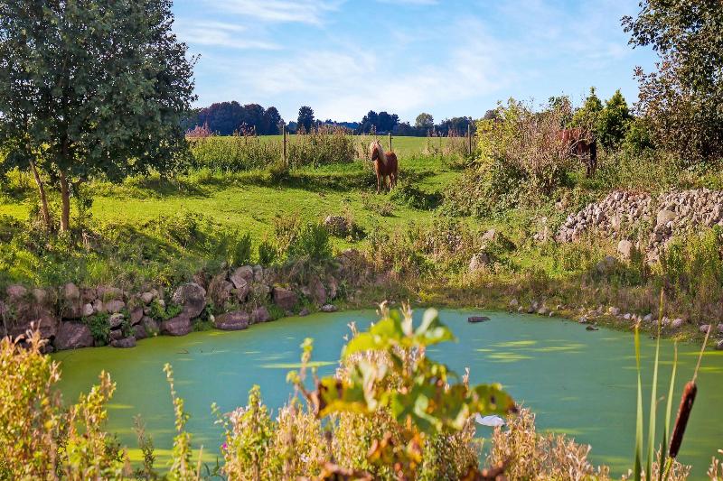 צימר Skortskær Bondegårdsferie