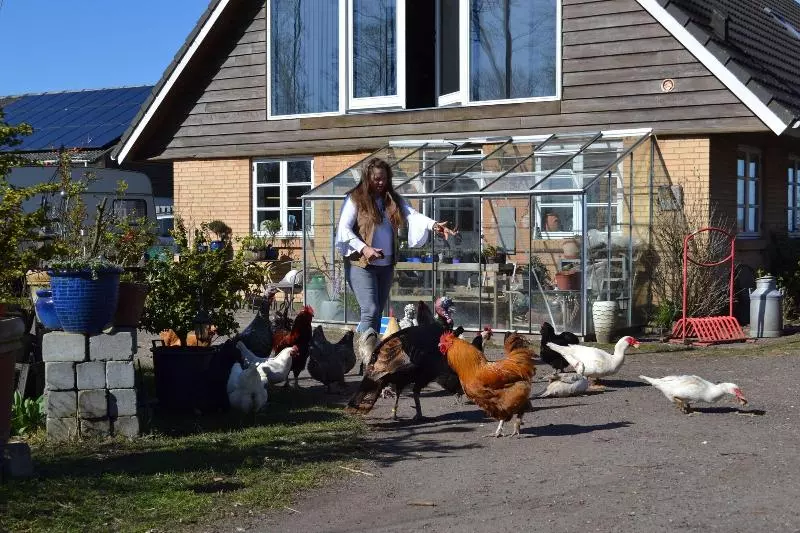Aamiaismajoitus (B&B) Skortskær Bondegårdsferie