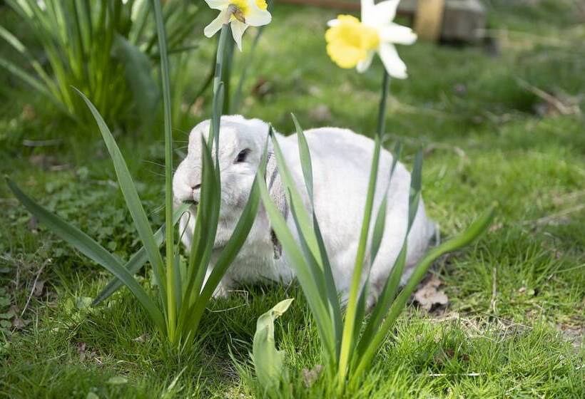 צימר Skortskær Bondegårdsferie