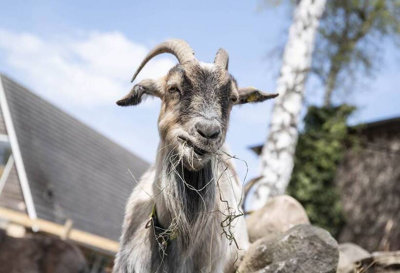 צימר Skortskær Bondegårdsferie