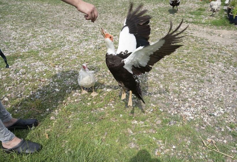 צימר Skortskær Bondegårdsferie