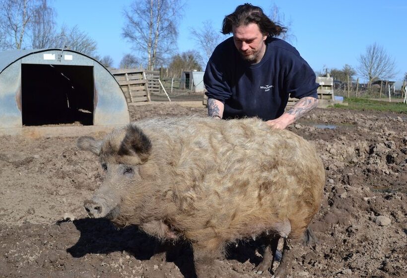 צימר Skortskær Bondegårdsferie