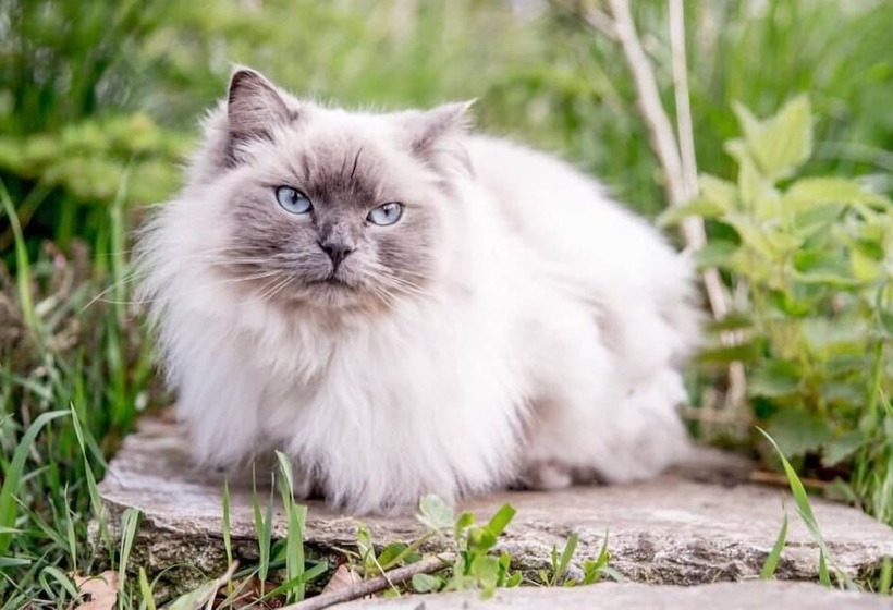 צימר Skortskær Bondegårdsferie