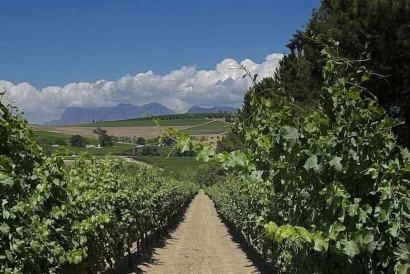 住宿加早餐  Clos Malverne Wine Estate