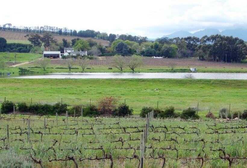 住宿加早餐  Clos Malverne Wine Estate