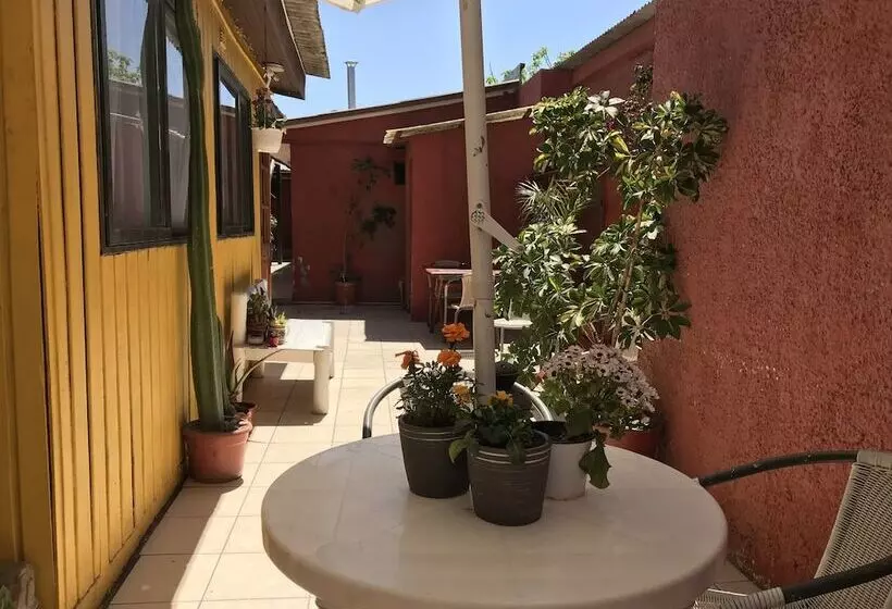 Hostal Avenue
