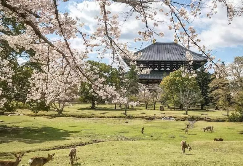 هتل Nara Visitor Center And Inn